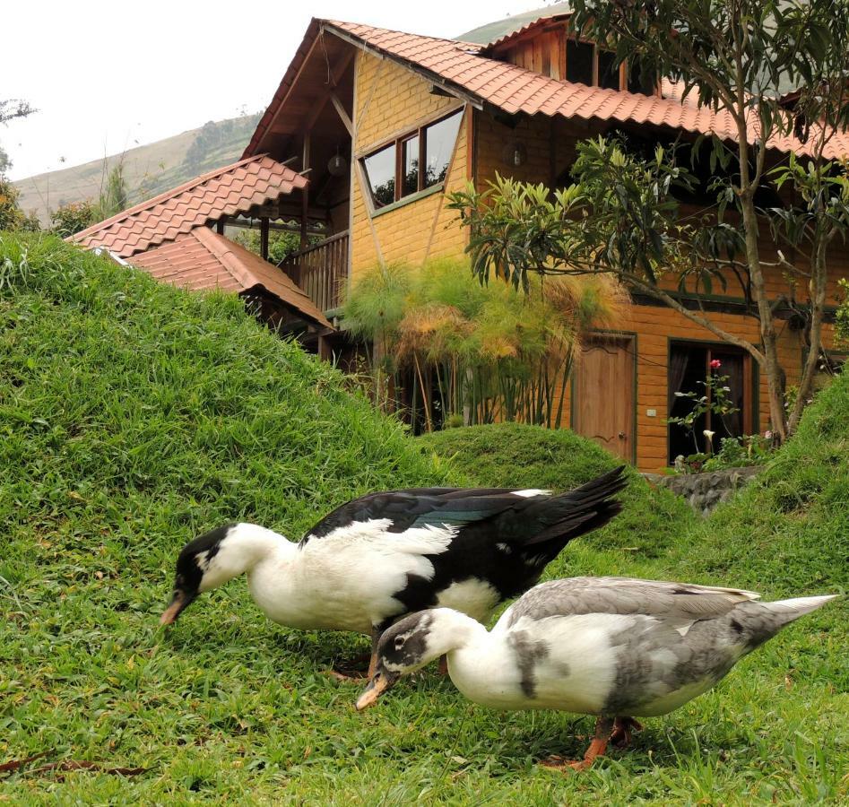 La Casta Hotel Patate Exterior photo